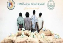ضبط 4 مخالفين من الجنسيتين اليمنية والإثيوبية لتهريبهم 280 كيلوجرامًا من القات بجازان