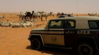 ضبط مواطن لارتكابة مخالفة رعي في محمية الإمام تركي بن عبدالله الملكية