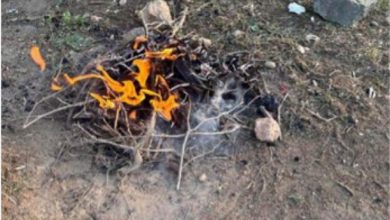 ضبط يمني لإشعاله النار في غير الأماكن المخصصة لها بمحمية الإمام فيصل بن تركي الملكية