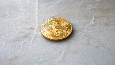 ضربة مفاجئة تهز عالم التشفير عملة رقمية تعلن الإغلاق وتفقد نصف قيمتها
