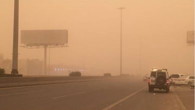 طقس المملكة الثلاثاء.. رياح نشطة وتكوّن للضباب على عدة مناطق