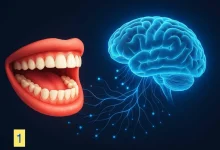 علاقة بيولوجية بين «أمراض اللثة والأسنان» ومخاطر السكتة الدماغية