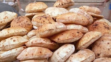 غرفة صناعة الحبوب: عدم المساس بسعر الخبز المدعم واستمرار طرحه للمواطنين بـ20 قرشا