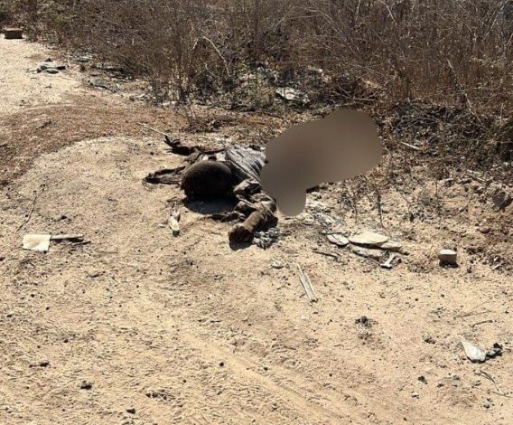 فتوح يدين المجزرة المروعة التي ارتكبها الاحتلال في حي الزيتون