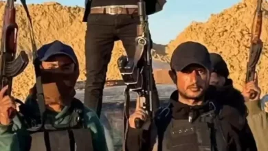 قناة عبرية: مشروع العصابات المسلحة الذي دعمته "إسرائيل" في غزة فشل تماما 
