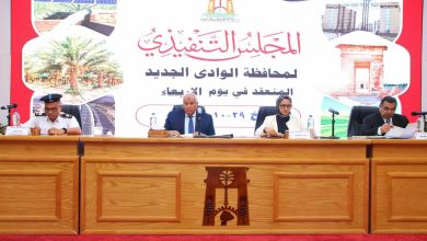 محافظ الوادي الجديد: جاهزون لانتخابات مجلس النواب.. ومتابعة مشروعات الصحة والتعليم بالمحافظة