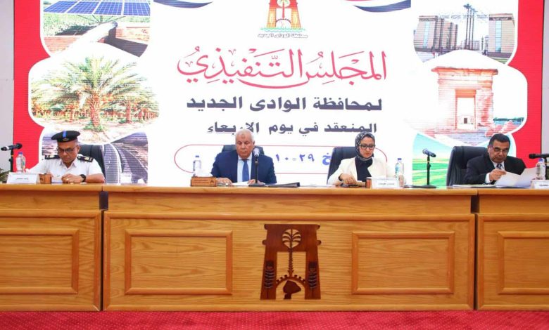 محافظ الوادي الجديد: جاهزون لانتخابات مجلس النواب.. ومتابعة مشروعات الصحة والتعليم بالمحافظة