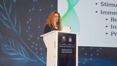 مديرة المياه بمركز لاهاي: الحلول القائمة على الطبيعة فرصة لتحقيق السلام