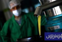 مسابقة لاختيار أفضل زيت الزيتون