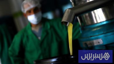 مسابقة لاختيار أفضل زيت الزيتون