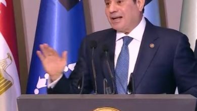 منتدى أسوان للسلام.. وزير الخارجية: مصر تعتز بانتمائها الإفريقي والقارة تشهد حراكا إيجابيا