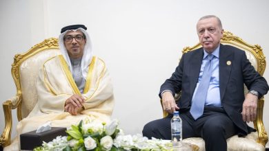 منصور بن زايد يلتقي الرئيس التركي ورئيس الوزراء العراقي على هامش قمة شرم الشيخ للسلام