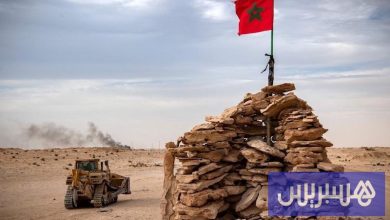 منظمات تنبه جامعة إيطالية إلى انحراف أكاديمي حول الصحراء المغربية
