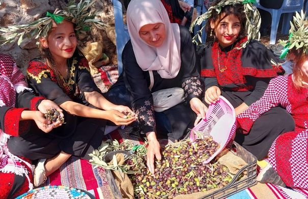 موسم قطاف الزيتون في عجلون يعزز دخل الأسر و التراث...