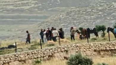 هجمات وتهديدات بالأسلحة.. ميليشيات المستوطنين تهجّر 6 عائلات من فروش بيت دجن