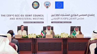 وزير الخارجية: الاجتماعات الخليجية الأوروبية تجسد الالتزام بتعزيز الشراكة الاستراتيجية وتحقيق السلام