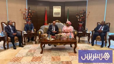 ولد الرشيد يجري مباحثات في مالابو