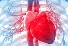 اكتشاف جزيء يعيد تنشيط القلب بعد النوبات القلبية
