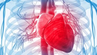 اكتشاف جزيء يعيد تنشيط القلب بعد النوبات القلبية
