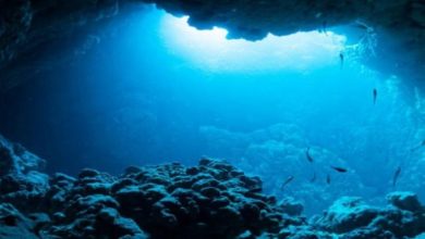 الصين تغوص في أعماق المجهول.. رحلة عالمية لاستكشاف أسرار المحيطات!