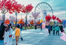 المنصة منحت العقود حماية من التعديل