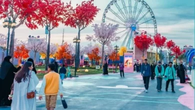 المنصة منحت العقود حماية من التعديل