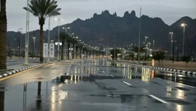 «الأرصاد»: أمطار وتساقط للبرد على منطقة حائل