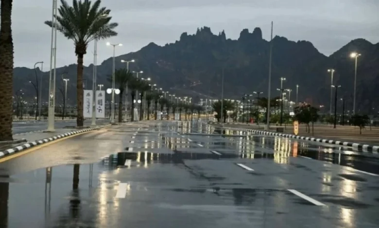 «الأرصاد»: أمطار وتساقط للبرد على منطقة حائل