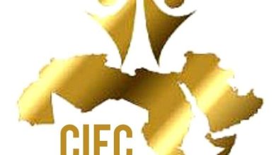 3 عروض مسرحية وماستر كلاس وورشتان وندوة في اليوم الأخير لمهرجان القاهرة الدولي للطفل العربي