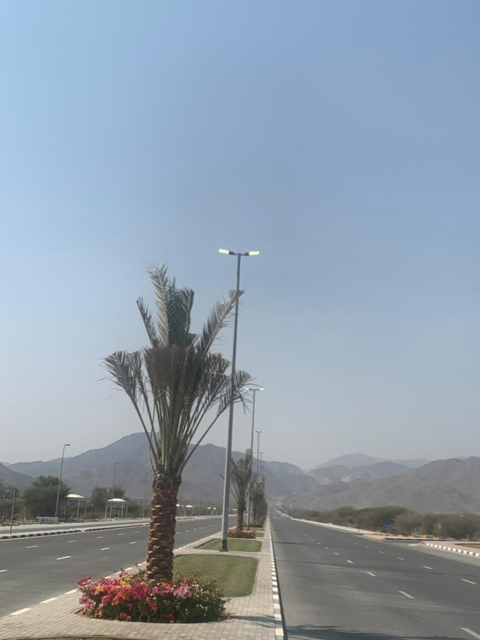 May be an image of road and fog