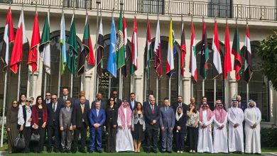 أبوالغيط يؤكد أهمية الثقافة كجسر للتواصل في العلاقات الدولية