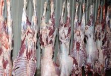 أسعار اللحوم في السوق المصري اليوم الخميس 30 أكتوبر / تشرين الأول 2025