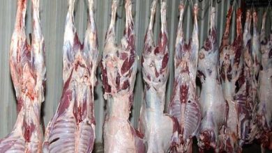 أسعار اللحوم في السوق المصري اليوم الخميس 30 أكتوبر / تشرين الأول 2025