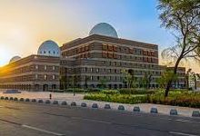 أمانة المدينة المنورة تطلق مشروع "حدائق منورة" لتحويل المتنزهات لوجهات شتوية نابضة بالحياة