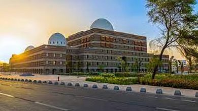 أمانة المدينة المنورة تطلق مشروع "حدائق منورة" لتحويل المتنزهات لوجهات شتوية نابضة بالحياة