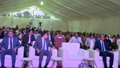 إدارة مهرجان الفيوم الدولي لأفلام البيئة يشاركون في افتتاح مهرجان تونس للخزف والحرف اليدوية