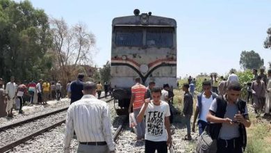 إصابة 4 أشخاص في تصادم قطار ركاب معطل بجرار سحب غرب الإسكندرية