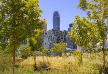 إطلاق نظام الرقابة الذكية في حدائق الرياض بـ 1600 كاميرا مدعومة بالذكاء الاصطناعي