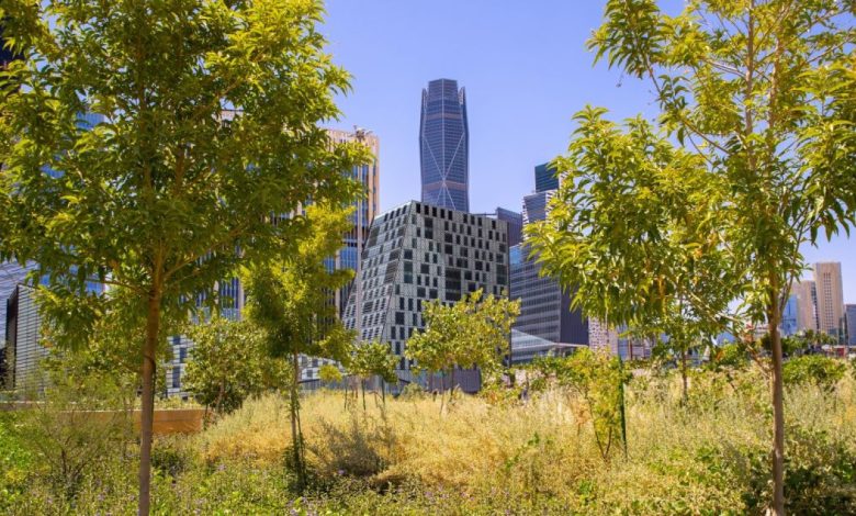 إطلاق نظام الرقابة الذكية في حدائق الرياض بـ 1600 كاميرا مدعومة بالذكاء الاصطناعي