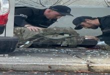 إغلاق عام للبيت الأبيض بعد إطلاق نار على اثنين من أفراد الحرس الوطني ومقتلهم