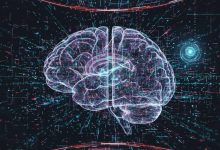 ابتكار علمي جديد.. الذكاء الاصطناعي يرسم أدق خريطة ثلاثية الأبعاد للدماغ البشري