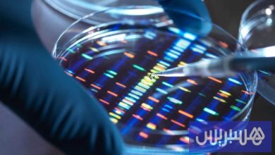 استراتيجية مبتكرة لتحرير الجينات تفتح آفاقًا جديدة لعلاج الأمراض النادرة