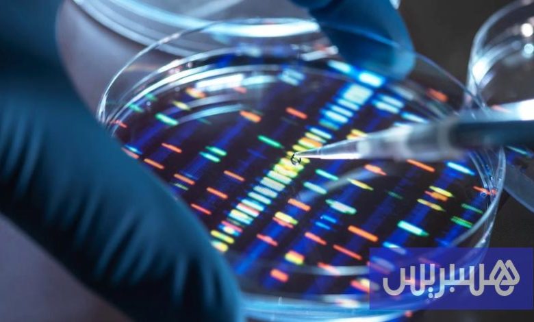 استراتيجية مبتكرة لتحرير الجينات تفتح آفاقًا جديدة لعلاج الأمراض النادرة