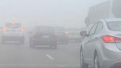 الأرصاد: طقس الجمعة معتدل الحرارة نهارا.. وشبورة كثيفة على بعض الطرق