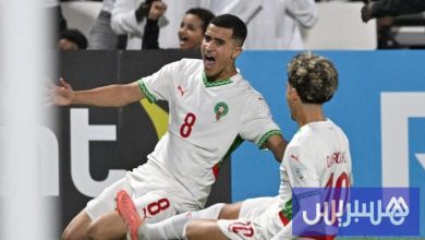 الإعلام الهولندي يحتفي بمهارة وزان