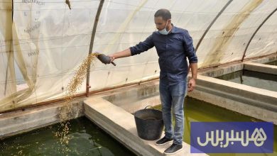 "الاستزراع المائي" يتحول إلى محرك جديد للنمو في المغرب