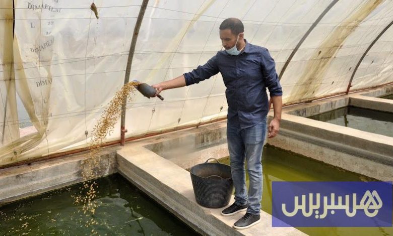 "الاستزراع المائي" يتحول إلى محرك جديد للنمو في المغرب