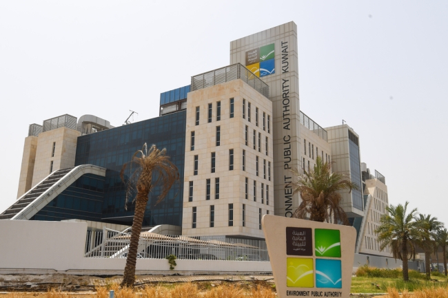 «البيئة» تنفذ مبادرة لزراعة 300 شتلة من نبات القرم في شاطئ المسيلة