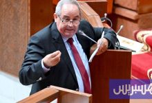 التامني تسأل عن مآل "سرقة علمية"