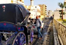 التحفظ على عربة حنطور مخالفة وحملات لرفع الإشغالات وتجميل الشوارع بالأقصر